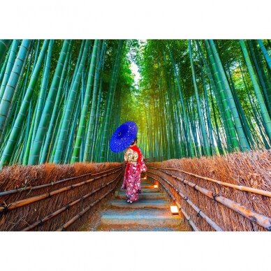Asian Woman in Bamboo Forest 1000 pcs. 1