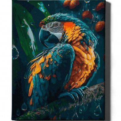 Beautiful parrot 40*50 cm