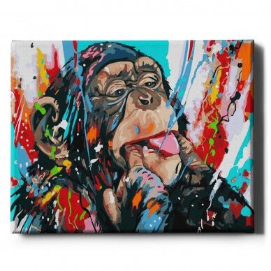 Funny monkey 40*50 cm