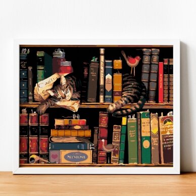 Katė knygų spintoje 40*50 cm 2