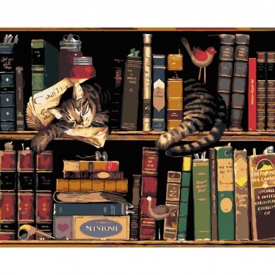 Кот в книжном шкафу 40*50 см 3