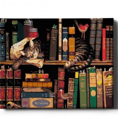 Katė knygų spintoje 40*50 cm