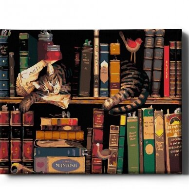 Cat in the bookcase 40*50 cm