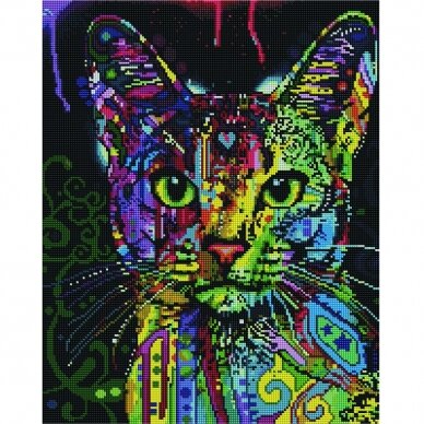 Cat's look 40*50 cm (square diamonds)