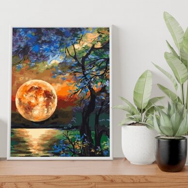 Full moon 40*50 cm 1