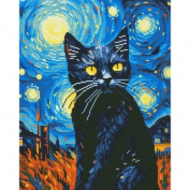 Night cat 40*50 cm (round diamonds)