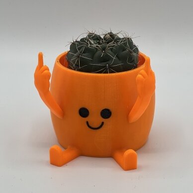A flower pot Funny guy 1