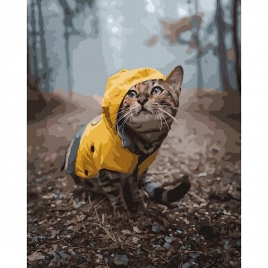 Katė miške 40*50 cm 3